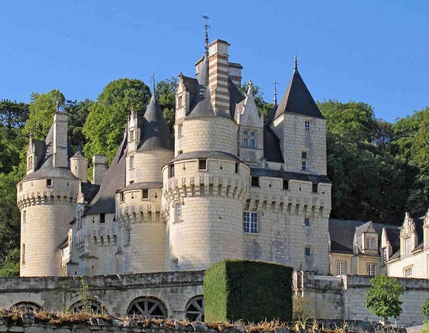 Gite Chalet-Piscine "Belle-Etoile" Touraine Anjou Courcelles-de-Touraine Eksteriør billede
