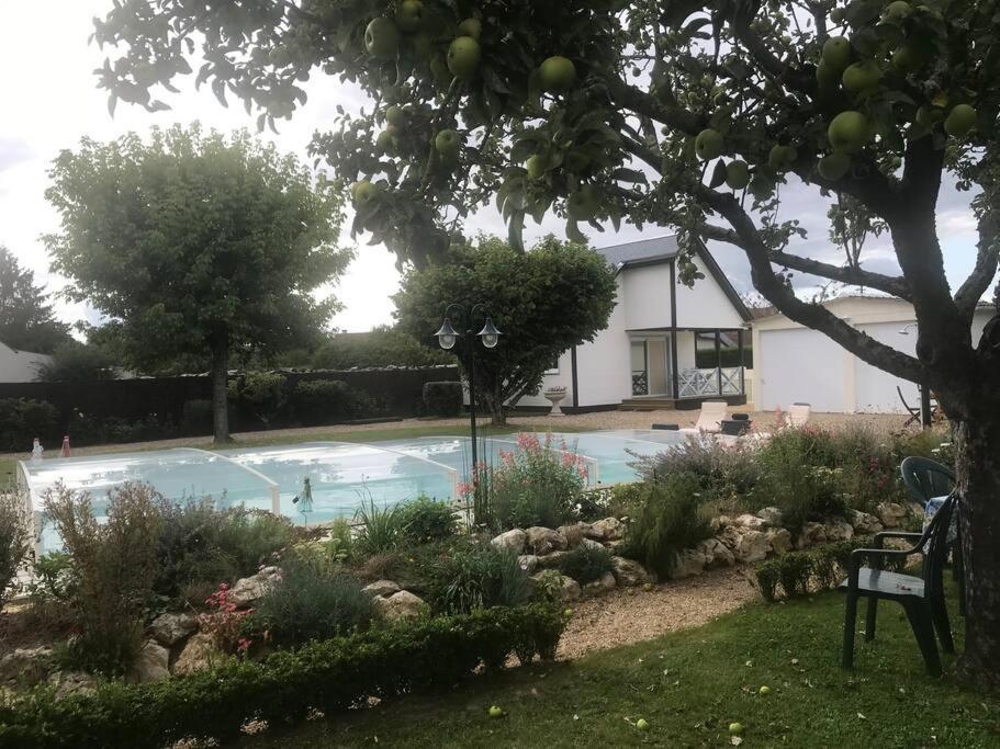 Gite Chalet-Piscine "Belle-Etoile" Touraine Anjou Courcelles-de-Touraine Eksteriør billede