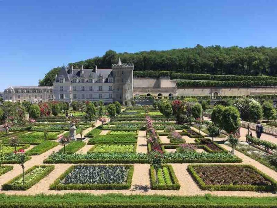 Gite Chalet-Piscine "Belle-Etoile" Touraine Anjou Courcelles-de-Touraine Eksteriør billede
